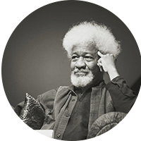 वोल सोइन्का